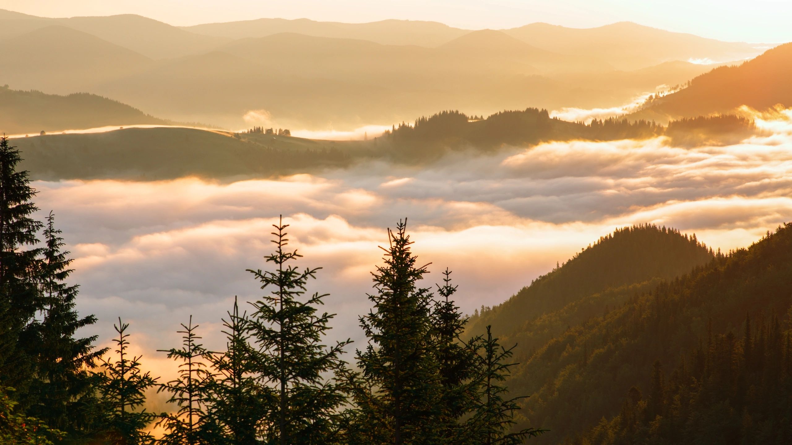 Sunrise over mountain landscape